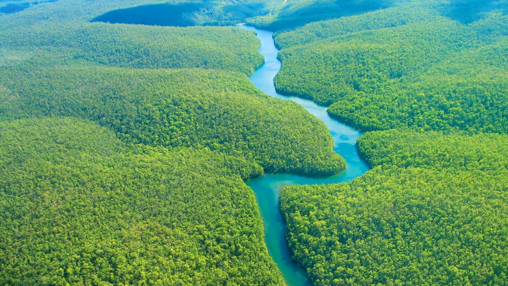The Amazon Rainforest affects precipitation throughout the Americas